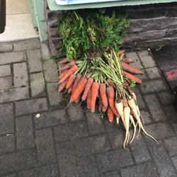 O'Connor's Fruit and Veg