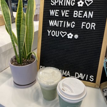 Pachamama Coffee - Blueberry Matcha Latte and Olive Latte - Coffee & Tea Near Me - Davis, California Pachamama Coffee - Blueberry Matcha Latte and Olive Latte - Coffee & Tea Near Me - Davis, California