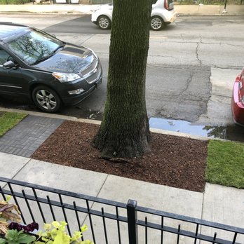 Salvador's Landscaping - Landscaping Near Me