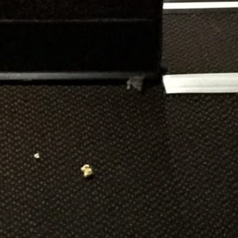 Cinemark 18 and XD - Mouse peeking out of the hole eyeing the popcorn on the floor. - Cinema Near Me - Webster, Texas