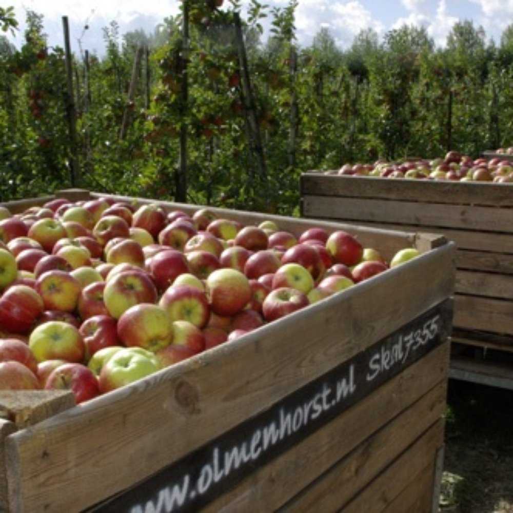 【Nu】 TOP 10 BEST Farms in Zuidland, Zuid-Holland, The Netherlands