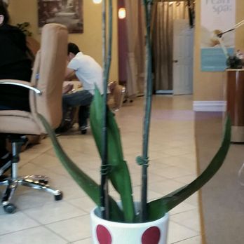Elizabeth Nails - Pleasant atmosphere - Nail Salons Near Me - Lodi, California Elizabeth Nails - Pleasant atmosphere - Nail Salons Near Me - Lodi, California