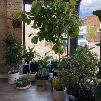 STUMP - Nurseries & Gardening Near Me - Lancaster, Ohio