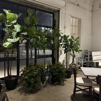 Epping's on Eastside - More plants - Bars Near Me - Lexington, Kentucky