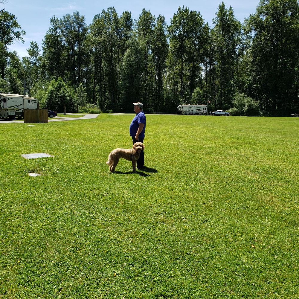 Tolt-MacDonald Park & Campground - Center area of campground - Parks Near Me - Carnation, Washington Tolt-MacDonald Park & Campground - Center area of campground - Parks Near Me - Carnation, Washington