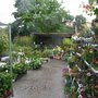 Photo of BlumenWunder