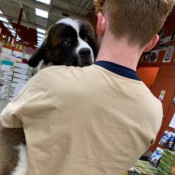 Petland Florence - Pet Stores Near Me - Florence, Kentucky Petland Florence - Pet Stores Near Me - Florence, Kentucky