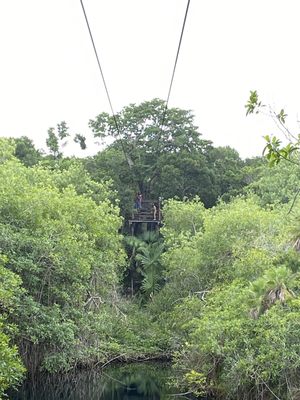 Two Eyes Cenote by null
