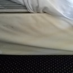 A pee stain from the room I stayed in.
