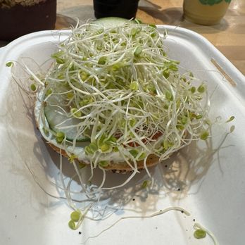 Island Vibes Cafe - veggie bagel - no shortage of sprouts! - Breakfast & Brunch Near Me - Lahaina, Hawaii