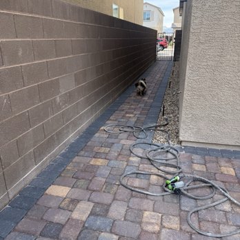 Integrity Landscapes - Landscaping Near Me - Las Vegas, Nevada Integrity Landscapes - Landscaping Near Me - Las Vegas, Nevada