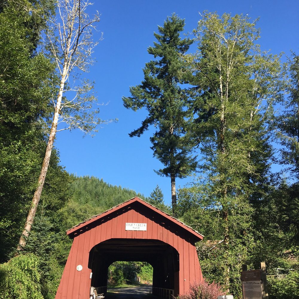 Drift Creek Fall And Bridge - Hiking Near Me - Otis, Oregon