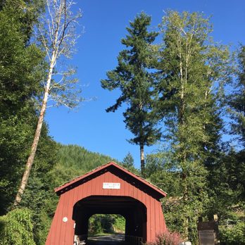 Drift Creek Fall And Bridge - Hiking Near Me - Otis, Oregon Drift Creek Fall And Bridge - Hiking Near Me - Otis, Oregon