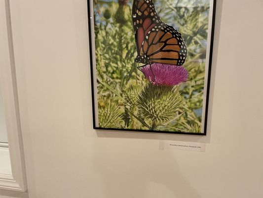 Akwaaba Gallery by null