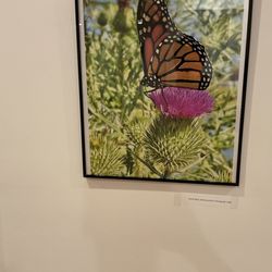 Akwaaba Gallery - Photo