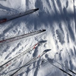 Parc-Nature Cap-Saint-Jacques - Ski de fond