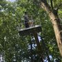 Photo of Greg's Tree Service