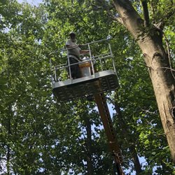 Greg's Tree Service