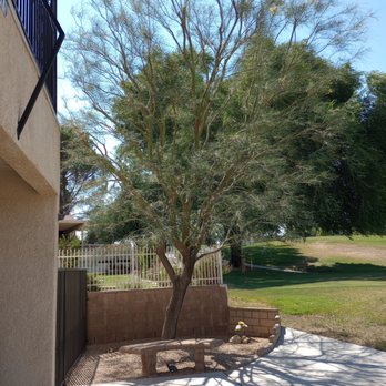 JS Tree Care - Tree Services Near Me - Hesperia, California JS Tree Care - Tree Services Near Me - Hesperia, California
