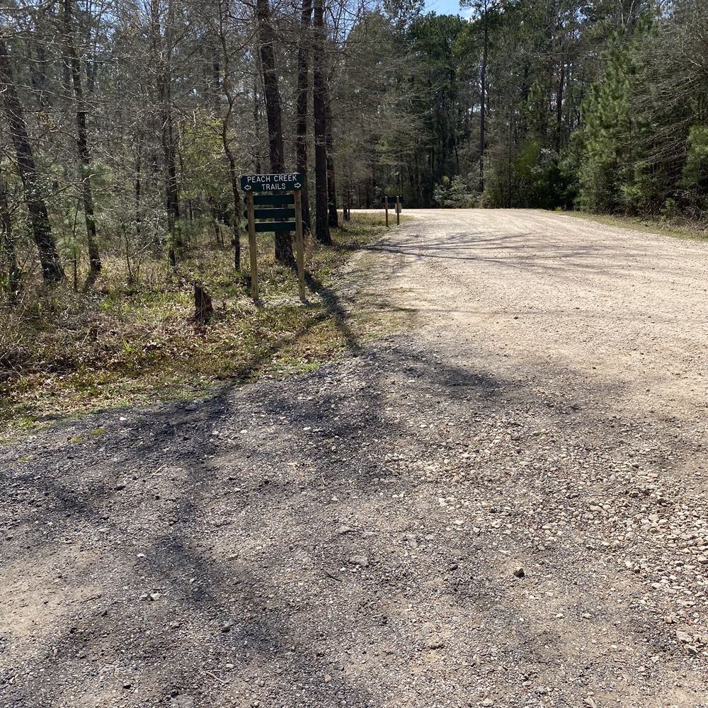 Lake Houston Wilderness Park - Parks Near Me - New Caney, Texas Lake Houston Wilderness Park - Parks Near Me - New Caney, Texas