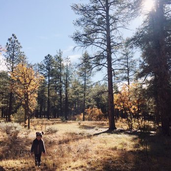 Ten-X Campground - Campgrounds Near Me - Tusayan, Arizona