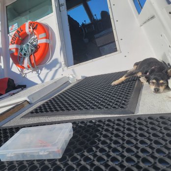 Stardust Sportfishing - Fishing Near Me - Santa Barbara, California
