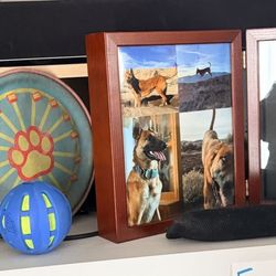 West Coast Pet Memorial - Roper off to the left and just recently: my husband's service dog, Atlas, off to the right.