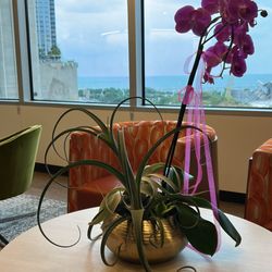 Raby Institute for Integrative Medicine - Awesome view from the window and a very elegant waiting room.
