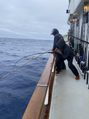 American Angler Sportfishing by null