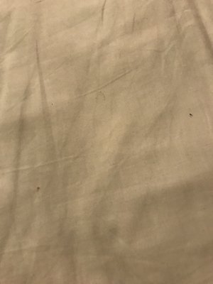 Bighorn Rentals by null