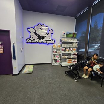 SoCal Pet Hospital - Spacious office - Veterinarians Near Me - Murrieta, California SoCal Pet Hospital - Spacious office - Veterinarians Near Me - Murrieta, California