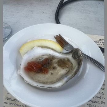 Blue Point Grill - They have many many variations of wild oysters! This was French Kiss! - Seafood Near Me - Princeton, New Jersey Blue Point Grill - They have many many variations of wild oysters! This was French Kiss! - Seafood Near Me - Princeton, New Jersey