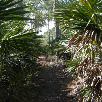 Hickory Bluffs Preserve - Pleasant trial - Hiking Near Me - Osteen, Florida