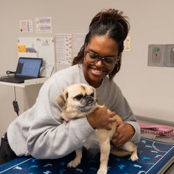 Humane Fort Wayne - A staff member taking care of a pug during a wellness visit!