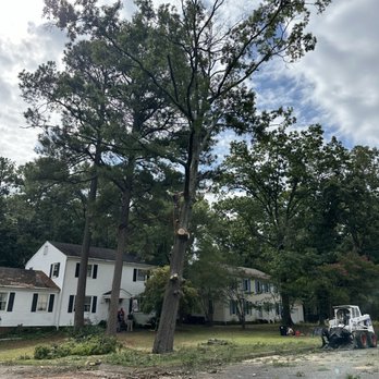 Premier Tree Service - Tree Services Near Me