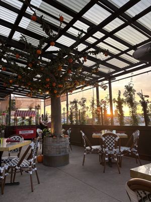 Romanella Cucina Romana by null