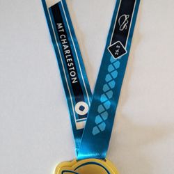 Finisher medal