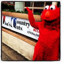 Lisa's Country Cuts & Spa - Front of the banner in front of the store during the Renaissance fair