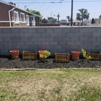 The Compton Initiative - Getting the home painted motivated me to create this garden - Community Service/Non-Profit Near Me - Paramount, California The Compton Initiative - Getting the home painted motivated me to create this garden - Community Service/Non-Profit Near Me - Paramount, California