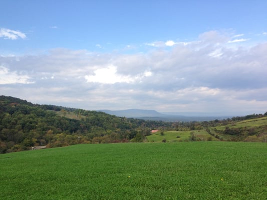 Smithsonian Conservation Biology Institute by null