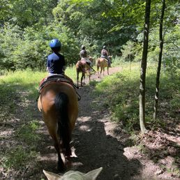 Good slow trot. Great for beginners or casual riding. It's really western style so don't expect much Good slow trot. Great for beginners or casual riding. It's really western style so don't expect much