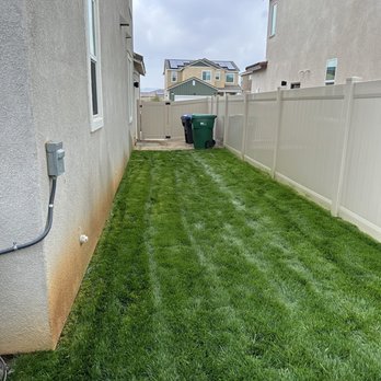 Luxuriant Landscape - Side Yard - Landscaping Near Me