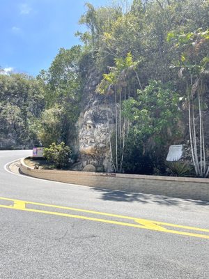 Cara del Indio by null