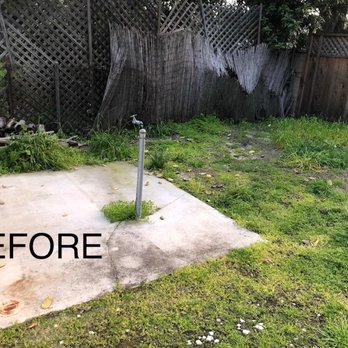 AL Lopez Landscaping - Landscaping Near Me