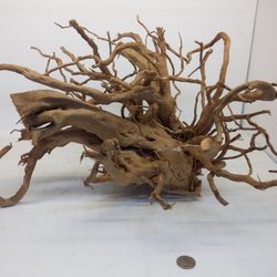 aquascaping supplies near me