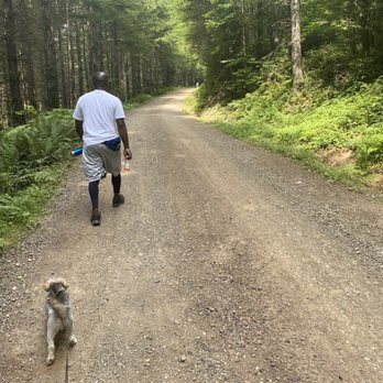 Tiger Mountain State Forest - Parks Near Me - Snoqualmie, Washington