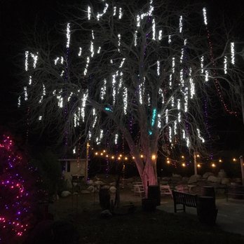 Boothbay Craft Brewery - Tree ready for light festival. - New American Near Me - Boothbay, Maine