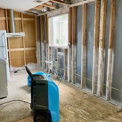 Mold Masters - Remediated Mold Growth from Kitchen Sink Leak