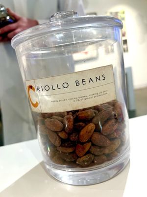 Seattle Chocolate Factory by null