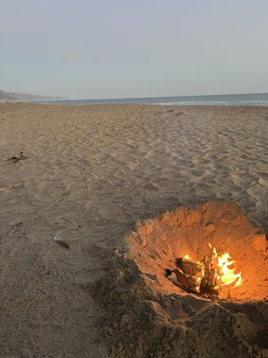 Limantour Beach by null